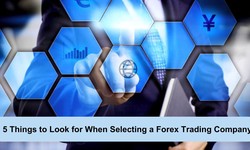 5 Things to Look for When Selecting a Forex Trading Company