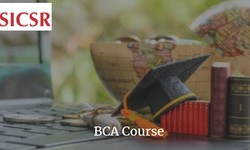Unlocking Opportunities with BCA Honours: Your Path to Success