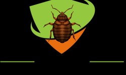 The Ultimate Solution for a Pest-Free Home: Bed Bug Exterminators