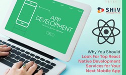 Why You Should Look For Top React Native Development Services for Your Next Mobile App