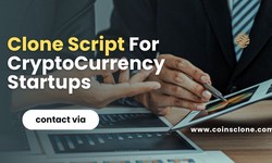 Top  Clone Scripts to Kickstart Your Cryptocurrency Business