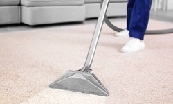 The Importance of Professional Carpet Cleaning in Fort Myers