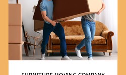 Furniture Movers: Everything You Need to Know