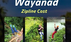 Experience Thrills and Scenic Wonders: Wayanad Zipline Cost, Prices, and the Best Zipline in Wayanad