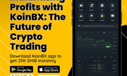 Maximizing Profits with KoinBX: The Future of Crypto Trading