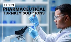 Pharma Project Excellence: Consulting Services in India
