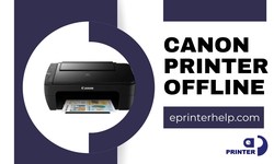 Reason For Canon Printer Offline | How To Fix It