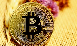 Understanding the bitcoin bank breaker erfahrungen: Decoding the Phenomenon