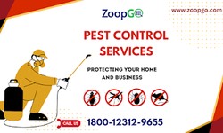 Common Pests in Mumbai and How An Effective Pest Control Can Prevent You From Losses