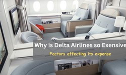Why Are Delta Flights So Expensive in 2023?