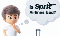 "Is Spirit Airlines Really that Bad? Unpacking the Perceptions"