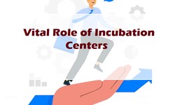 The Vital Role of Incubation Centers in Nurturing Entrepreneurial Success