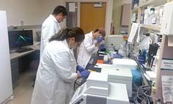 What defines laboratory equipment?