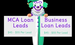 FROM LEADS TO LENDING: A GUIDE TO THE BEST MCA LEADS