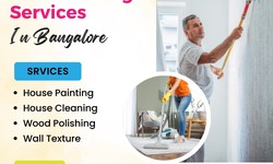 How Paint Choices Affect Mood in Bangalore Homes