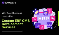 Why Your Business Needs the Custom ERP CMS Development Services?