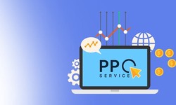 Navigating Online Advertising: The Power of PPC Services in Delhi