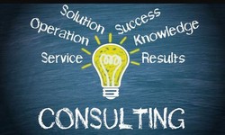 Consultant Services: Your Pathway to Sustainable Success