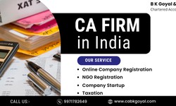 The Role of CA in the Importance of GST and Trademark Registration in Jaipur