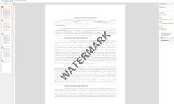 The Art and Utility of Watermarking PDFs