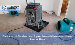 The Impact of Floods on Mornington Peninsula Homes and How to Restore Them