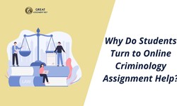 Why Do Students Turn to Online Criminology Assignment Help?