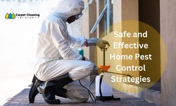 The Ultimate Guide to Safe and Effective Home Pest Control Strategies in St Kilda