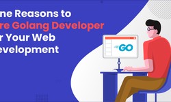 Nine Reasons to Hire Golang Developer for Your Web Development