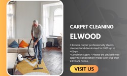 "Affordable and Eco-Friendly Carpet Cleaning in Elwood"
