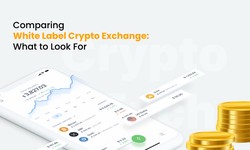 Comparing White Label Crypto Exchange: What to Look For