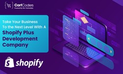 Take Your Business To the Next Level With A Shopify Plus Development Company