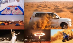 Discover The Hidden Treasures Of Abu Dhabi's Desert
