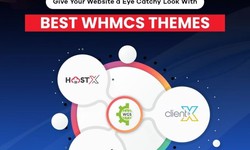 WHMCS Themes & Templates: Elevating Your Web Hosting Business