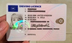 What are the Risks Associated with Fake Licenses