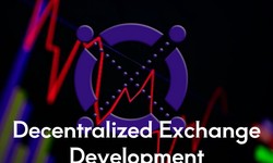 Why Decentralized Exchange Development is the finest business idea for startups?