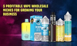 5 Profitable Vape Wholesale Niches for Growing Your Business