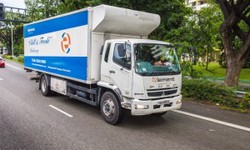 Cold Chain Logistics Singapore: Ensuring Precision and Efficiency