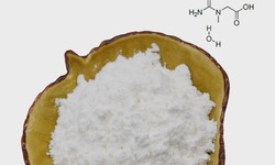 Is it safe to take creatine monohydrate everyday?