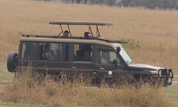 Make Your Safari Dreams Come True With The Help Of Tanzania Safari Tours