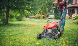 Ultimate Things To Consider When Hiring Landscaping Services