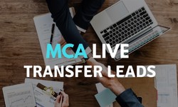 Unlocking Growth A Comprehensive Guide to MCA Live Transfer Leads