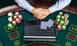 All you need to know about Free Casino