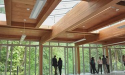 Understanding CLT Design the Future of Sustainable Construction