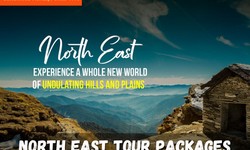 Seeking Offbeat Adventures? What Can North East Tour Packages Offer?