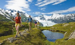 What Sets Alaska Group Tours Apart from Other Group Travel?
