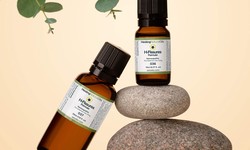 Aromatherapy Solutions: Essential Oils for Hemorrhoid Treatment