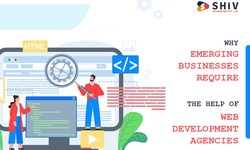 Why Emerging Businesses Require the Help of Web Development Agencies