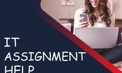 Get Help And Improve Your Grades in IT Assignments