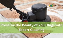Preserve the Beauty of Your Rugs with Expert Cleaning in Camberwell