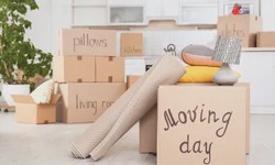 The Emotional Rollercoaster of Transitioning to a New Home